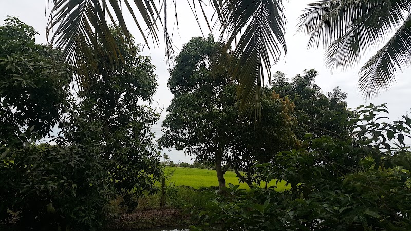 PERLIMA MAJU - Kedai Makan Ta, Simpang Ampat