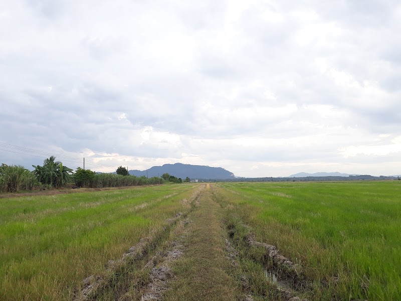 Homestay Pida 1, Kampung Lembah Abu, Jitra