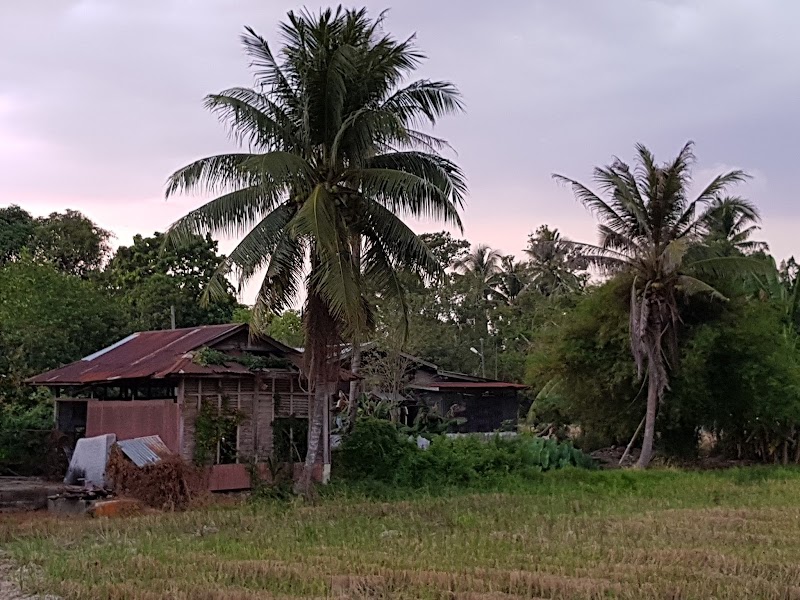 Homestay sofea di tepi sawah, Kampung Mata Ayer, Kangar