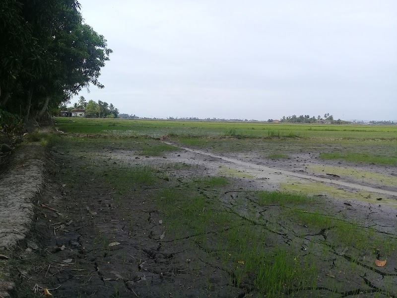 Surau Matang Bonglai Kecil, Kampung Permatang Bonglai Kechil, Ayer Hitam