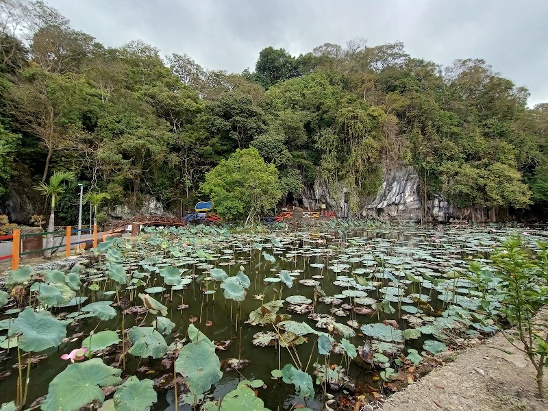 Forest Eco Park, Laluan Jogging Hutan Lipur Bukit Kubu, Hutan Lipur Bukit Kubu, Kuala Perlis