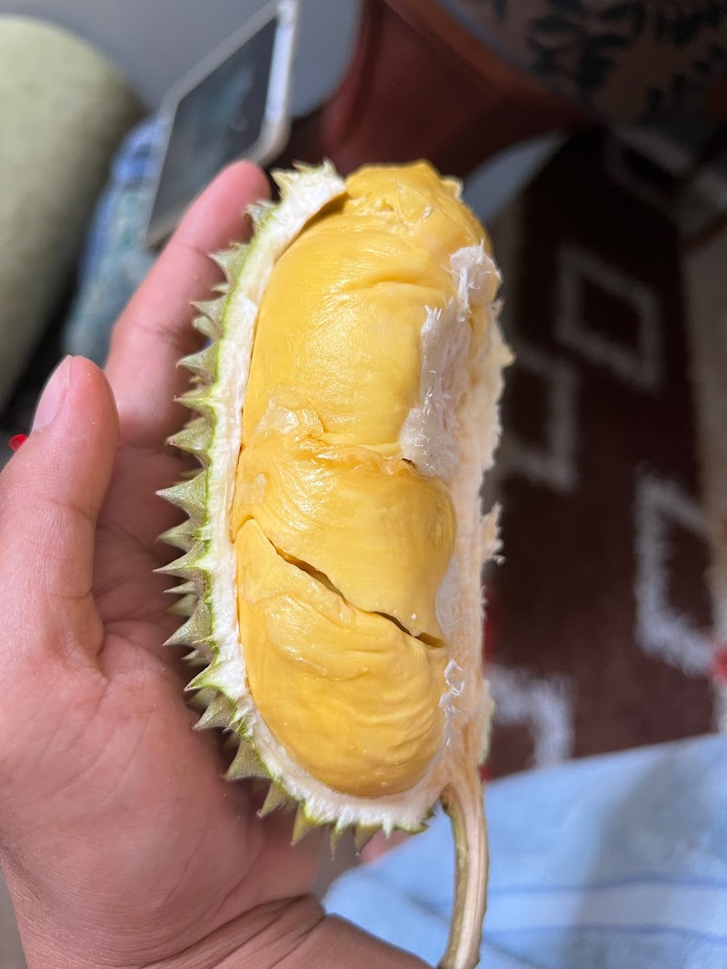 Dusun Radzi Bkt Wang, Jalan Dusun Bukit Wang , Kodiang, Padang Sera