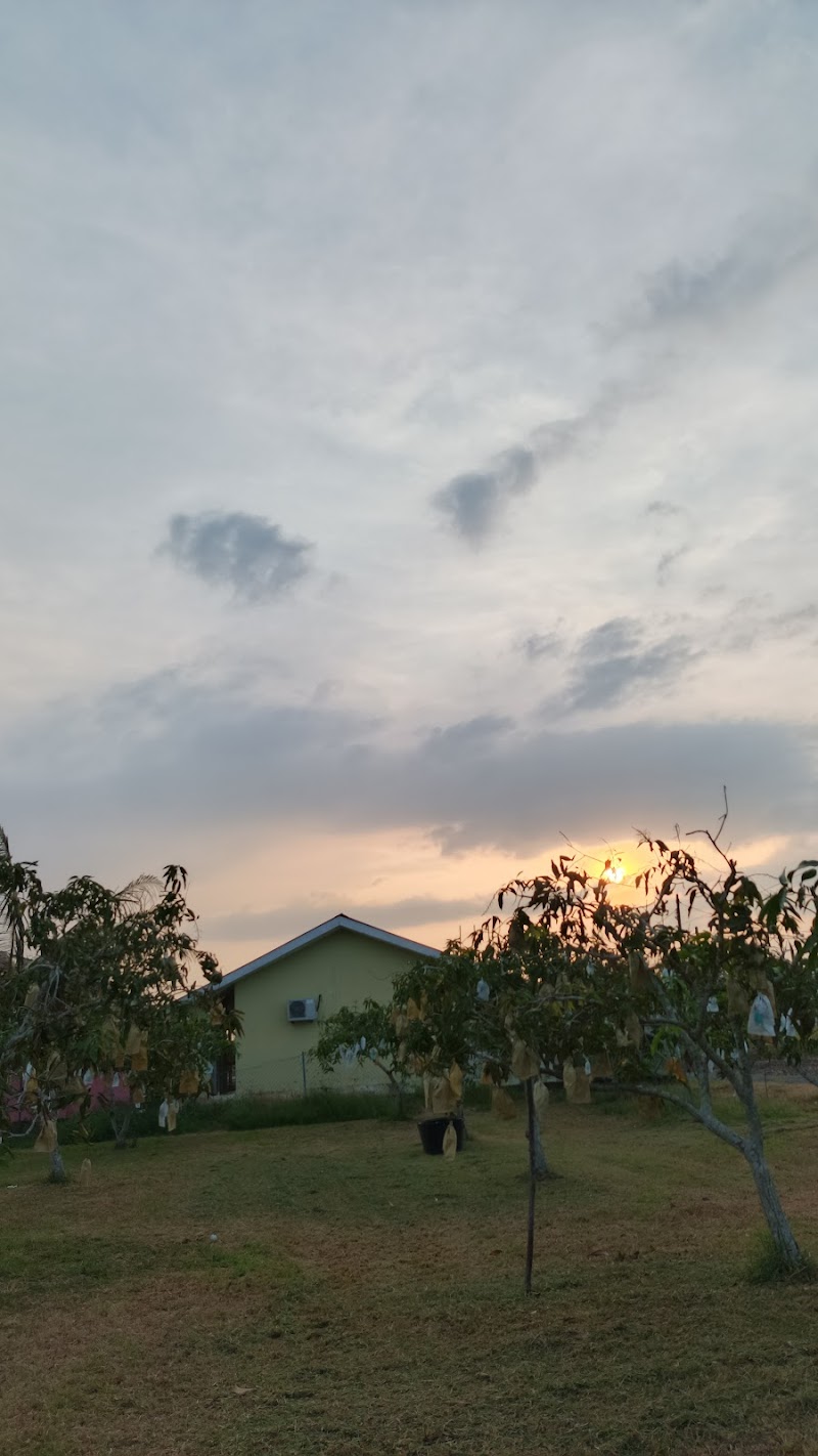 SURAU ANNUR, 166, TIMUR, Kampung Permatang Pauh, Simpang Ampat