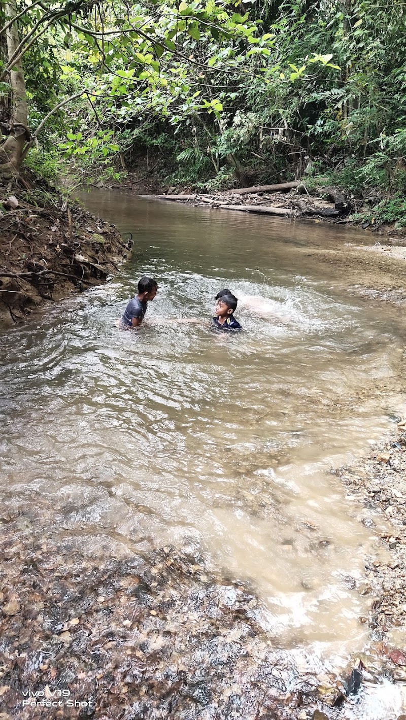 Gua Ikan, Batu 15, Jalan Kaki Bukit, Kangar