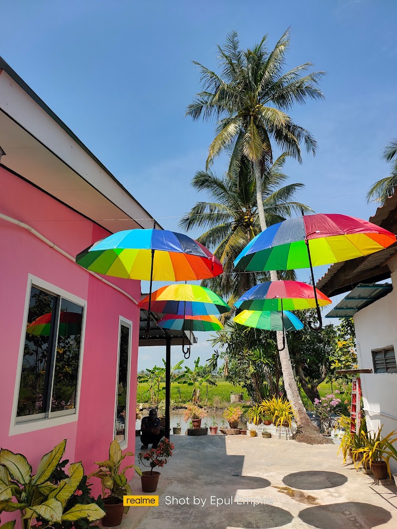 Pink Homestay D'Perlis, 939 A, Jalan Kampung Sungai Bugis, Kangar