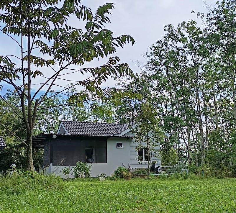 Dusun Cikgu Fadzil, 895V+QV8, Jitra