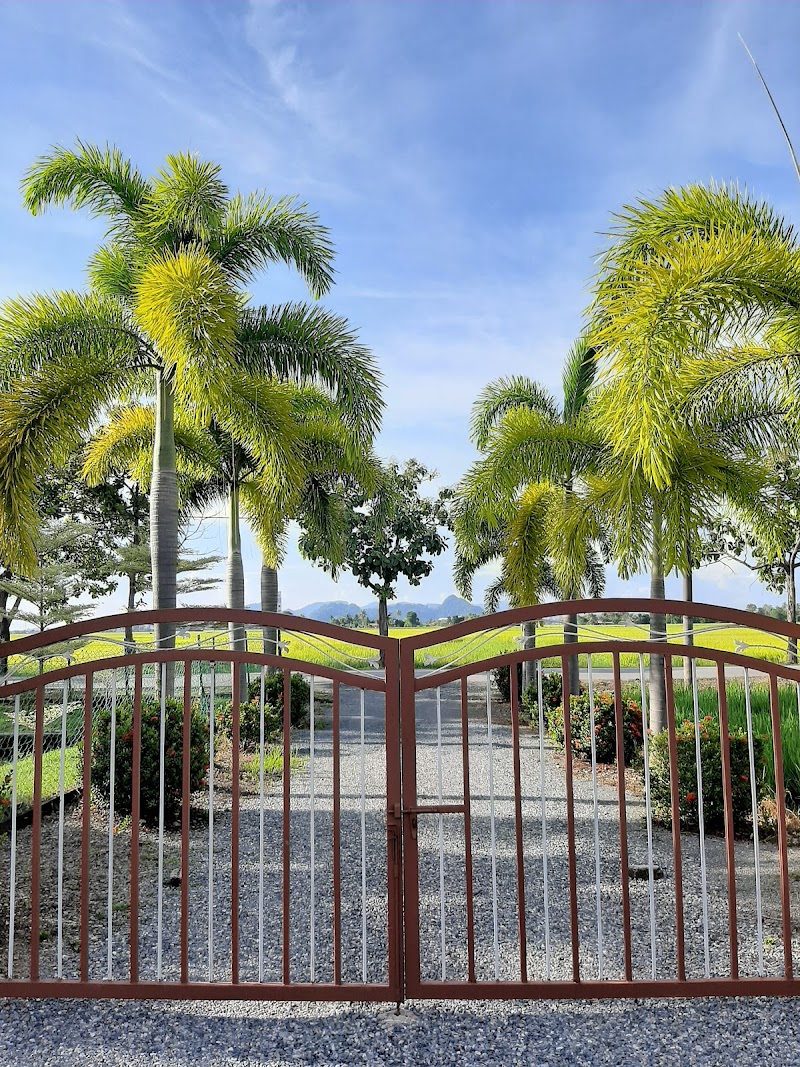 DE PALMA HOMESTAY KUALA PERLIS, No 5503, Jalan Sungai Berembang, Kampung Sungai Berembang, Kuala Perlis