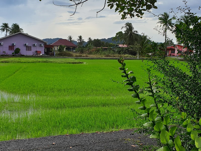 Sekolah Kebangsaan Kayang, Jalan Kuala Perlis, Kampung Titi Serong, Kuala Perlis