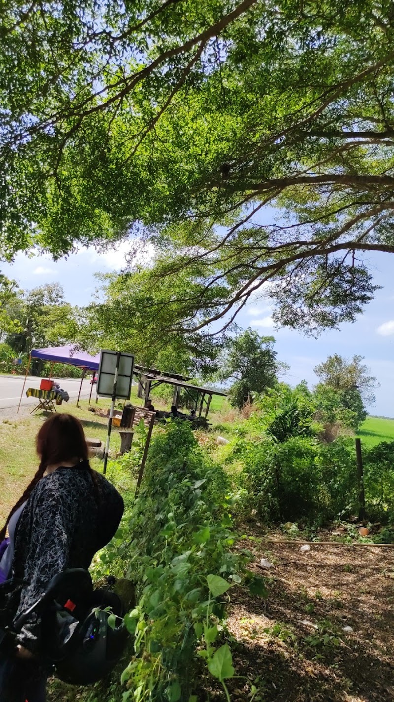 Paksu lemang panas, Air Hitam, Ayer Hitam