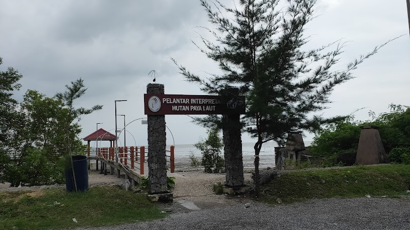 Plantar Interpretasi Hutan Paya Laut, 81, Jalan Kuala Perlis, Kuala Perlis