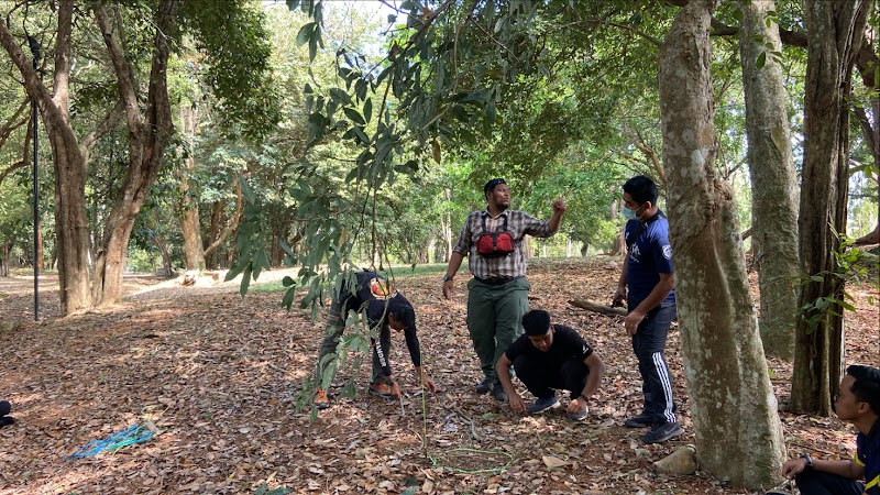 Laman Rekreasi Rimba Semarak, Uitm Arau, Arau