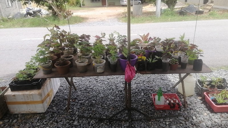 GERAI JUALAN GORENG PISANG SITI FATIMAH, K102, Kampung Batu Empat Salang, Ayer Hitam