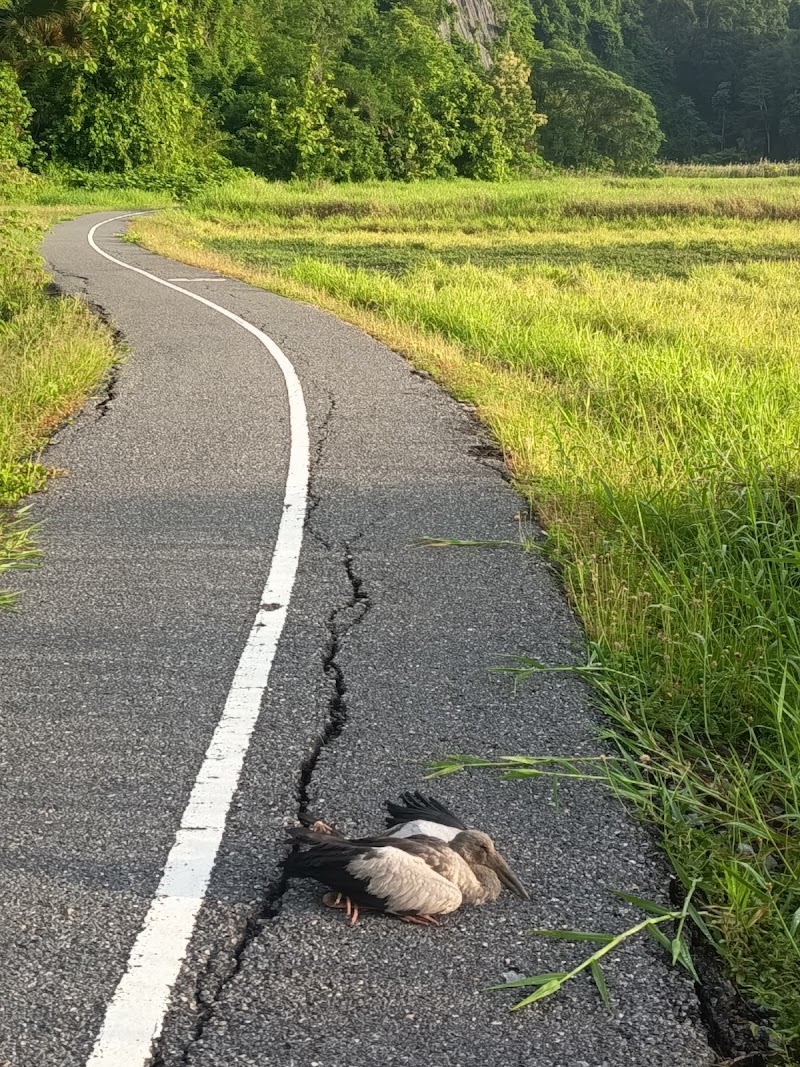 Taman Rekreasi Gua Cenderawasih, Persiaran Wawasan, Kangar