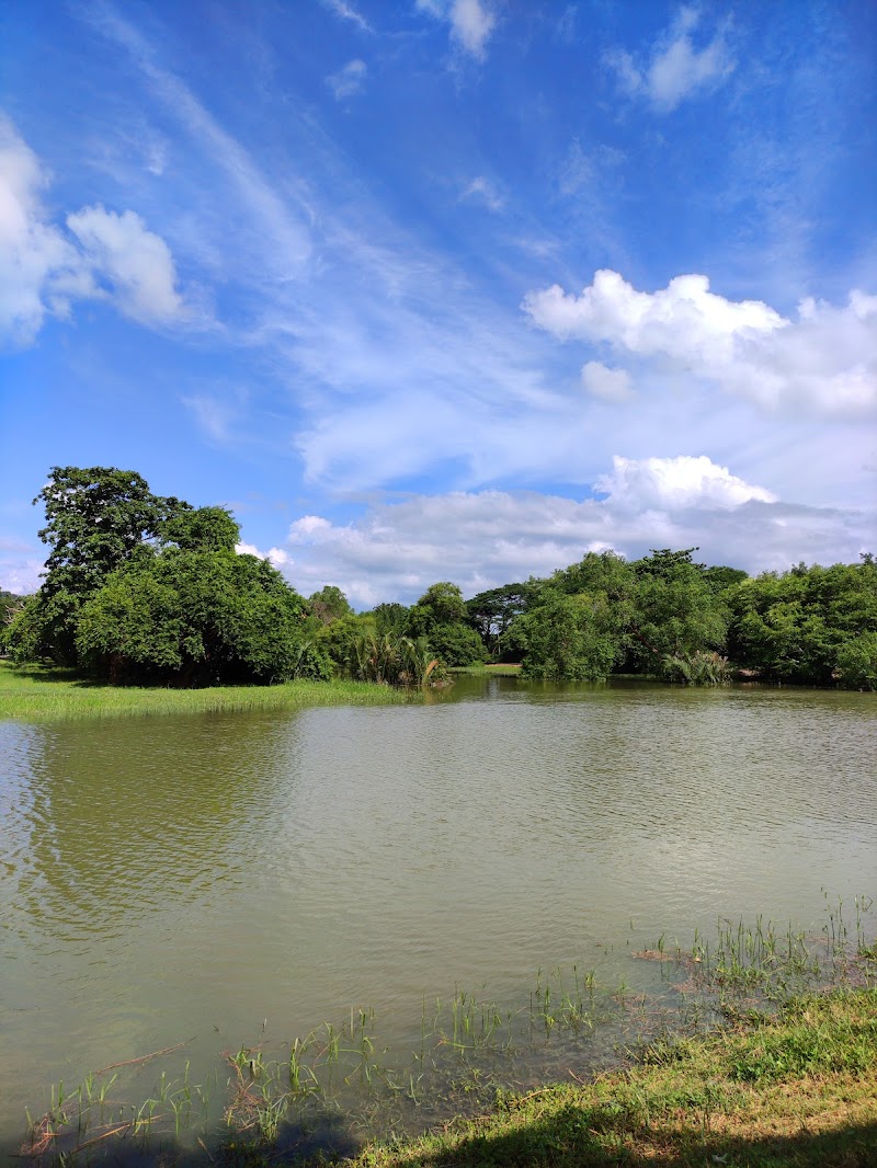 Jambatan Biru Sungai Perlis, C5M8+JX, Kangar