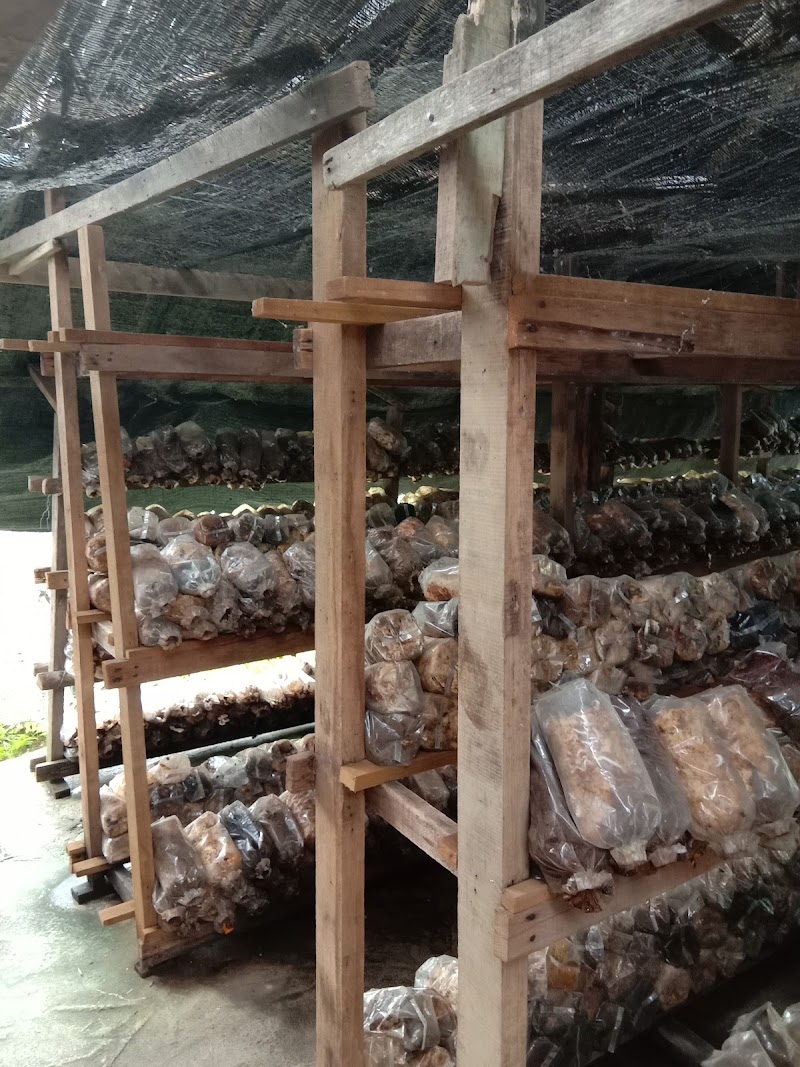 WARUNG MAK NGAH MALIAH, Batu 7, Jalan Sanglang, Kodiang