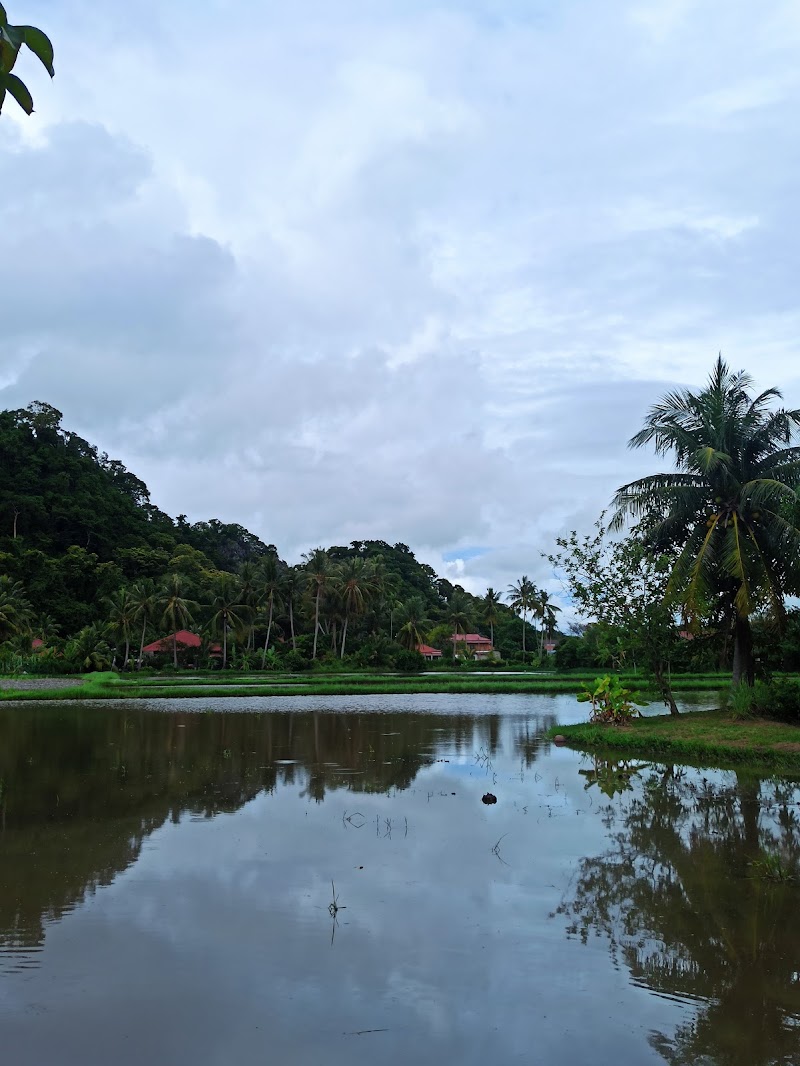 Sekolah Kebangsaan Padang Besar Selatan, Jalan Kuala Perlis, Kuala Perlis