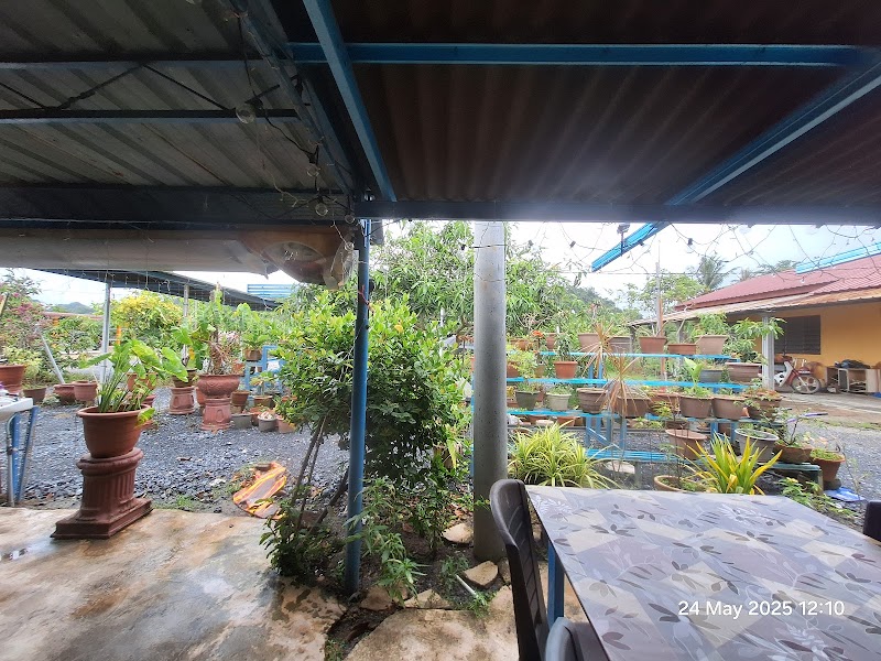 Citarasa Dayang Kitchen, No. 33, Kampung Terus Teritip, Jalan, Kuala Perlis