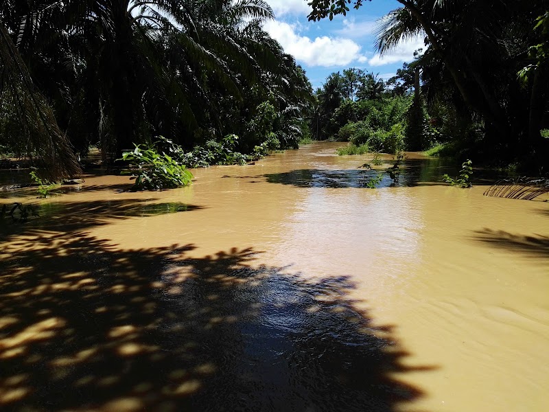 Kampung Nacik, Mukim Kubang Pasu, Napoh, K301, Lye Huat Garden, Jitra
